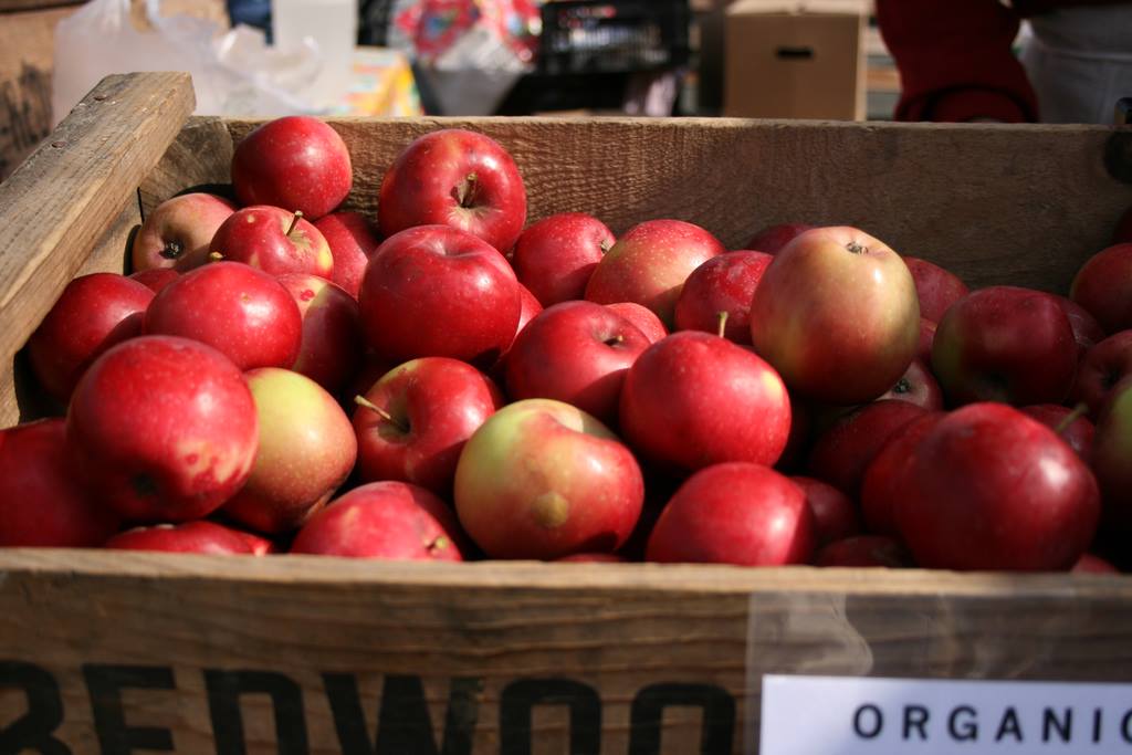 barrel of apples