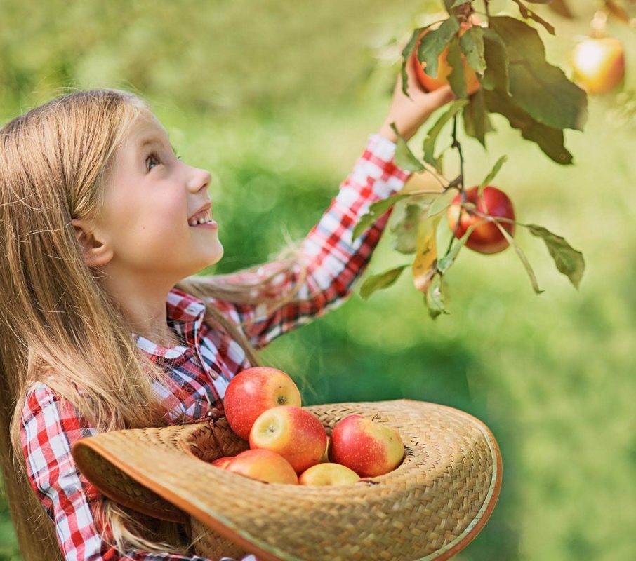 girl picking apples