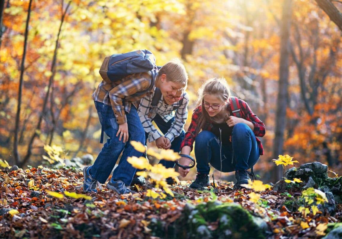 Three siblings on a fall hike