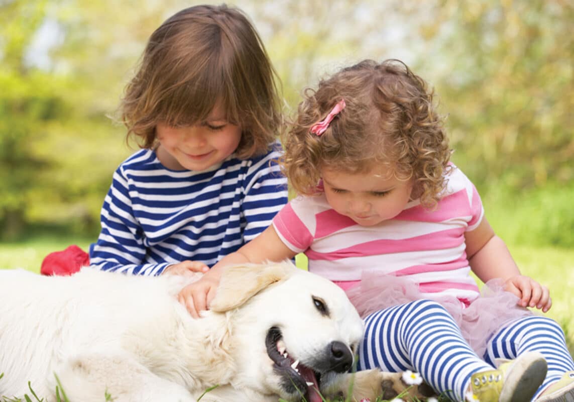 siblings with a golden retriever on their laps