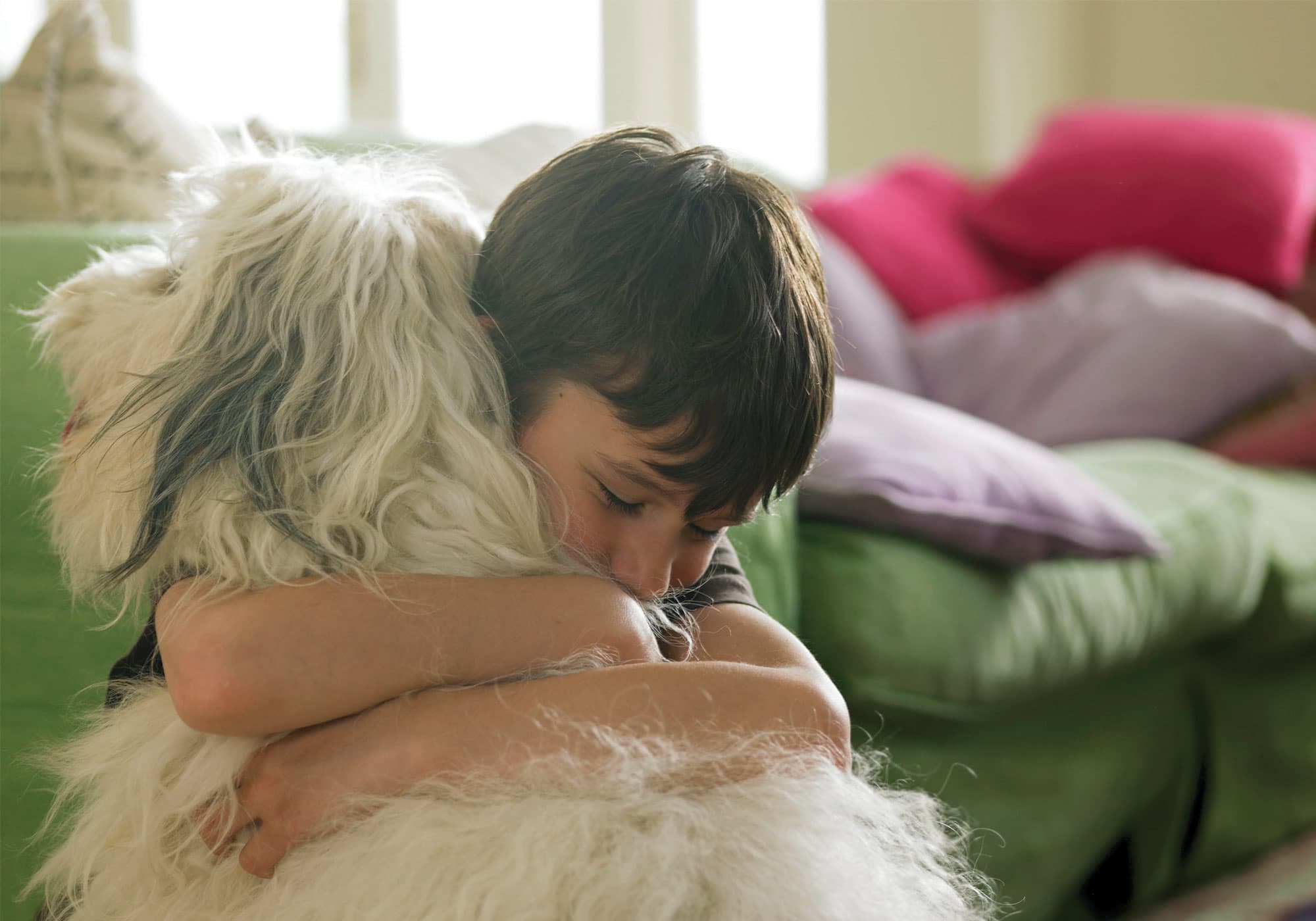 Boy hugging a furry white dog