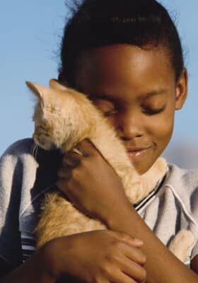 Little girl holding a kitten