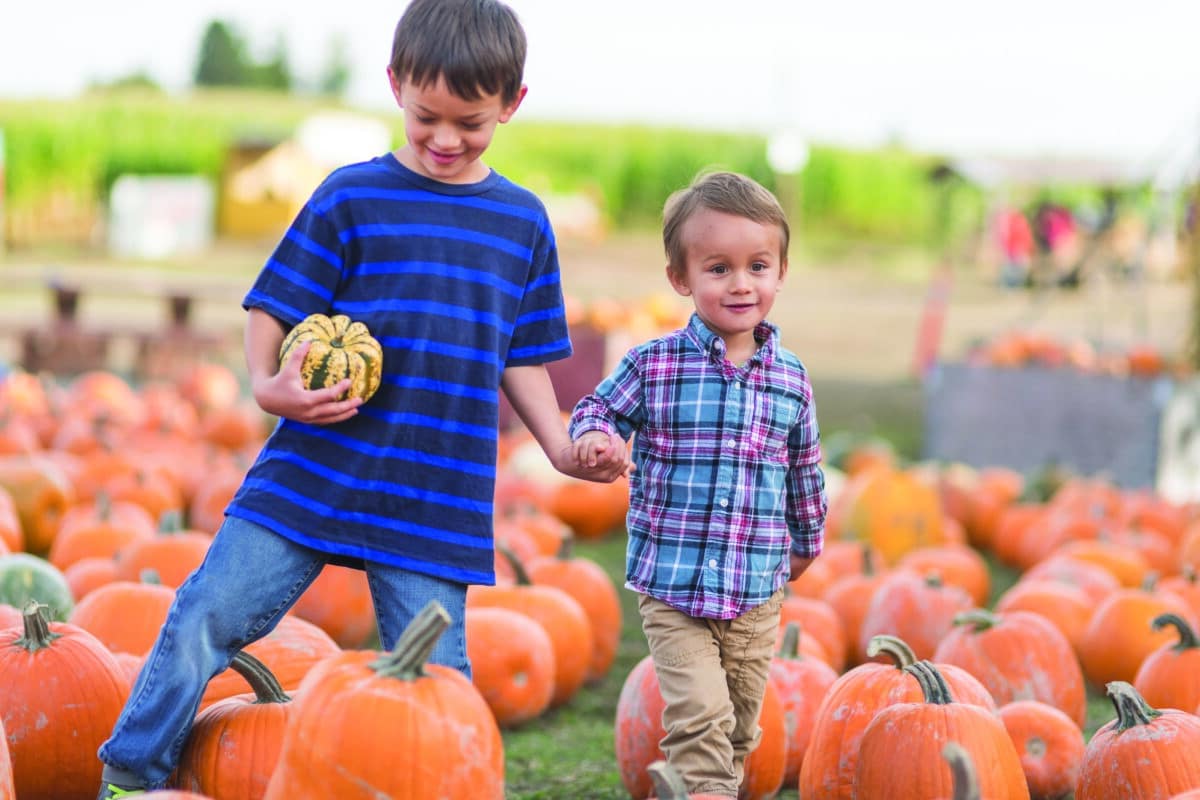 Two boys walk through a pumpkin patch