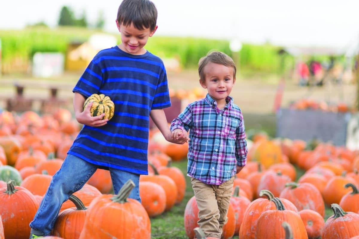 Pumpkin Patch Painting with Apples - Kids Activity Zone