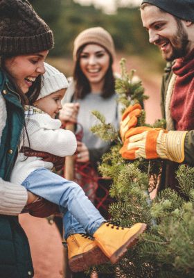 Young family at a tree farm