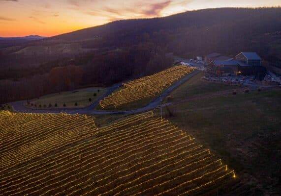 lights at Bluemont Vineyards