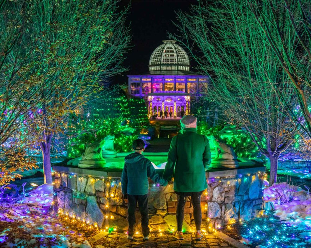 GardenFest of Lights at Lewis Ginter