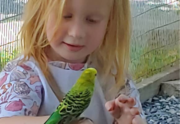 Kid holds bird in hand at Natural Bridge Zoo Camp