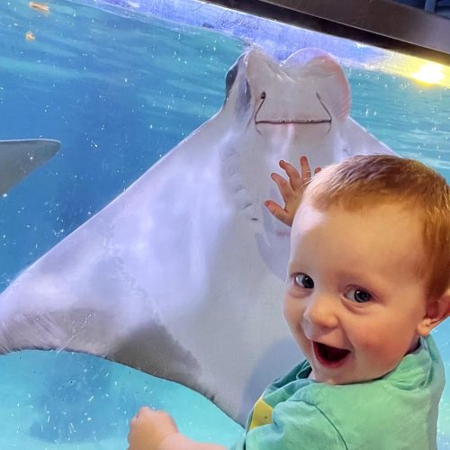 The Best Zoos & Aquariums in Virginia Charlottesville Family