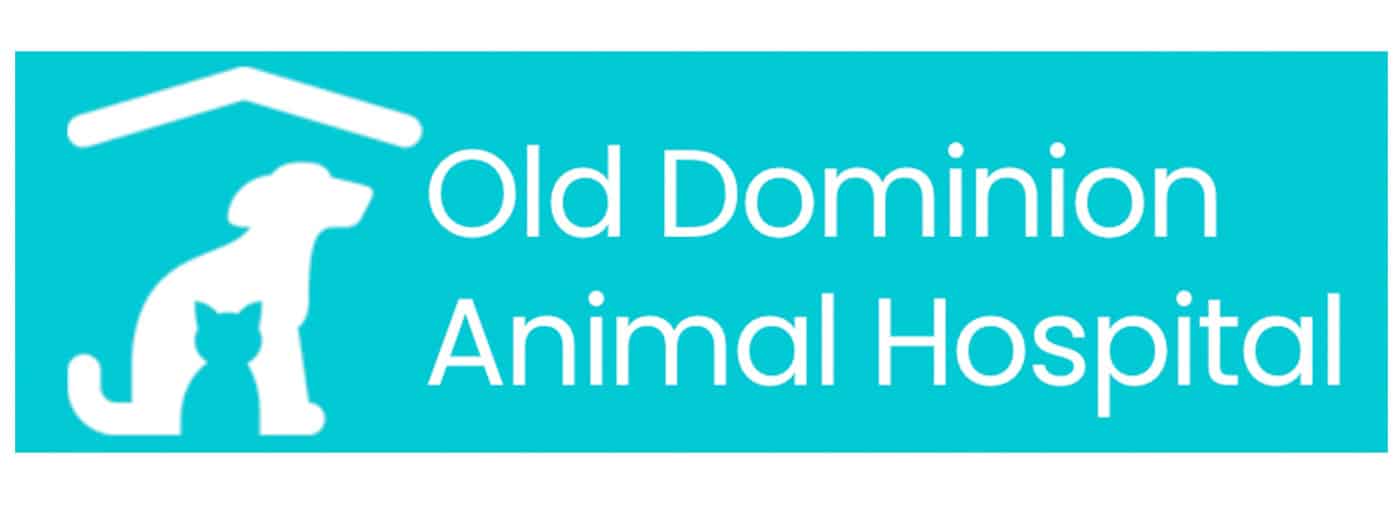 Old Dominion Animal Hospital