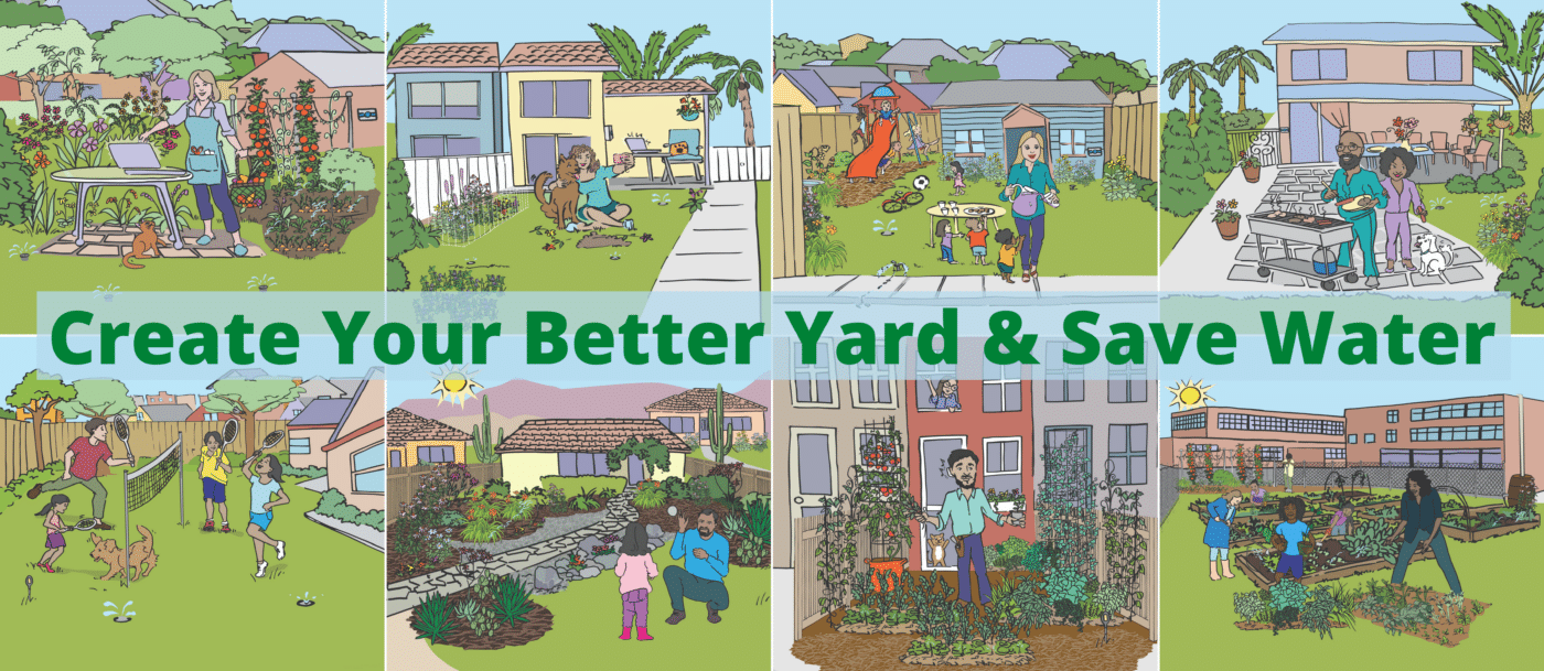 Create Your Better Yard & Save Water Banner