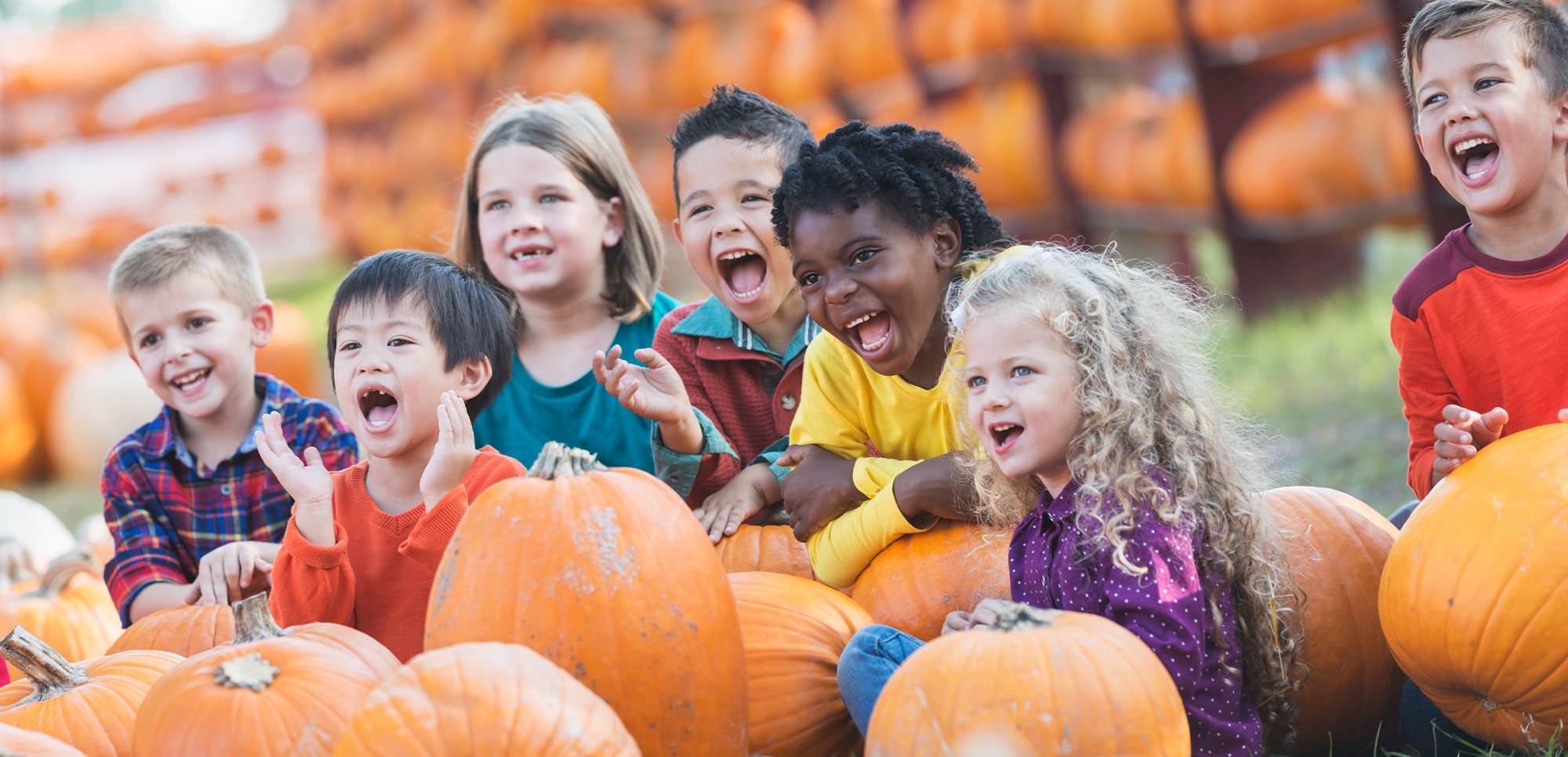 Group of kids in a pumpkin patch at a fall festival