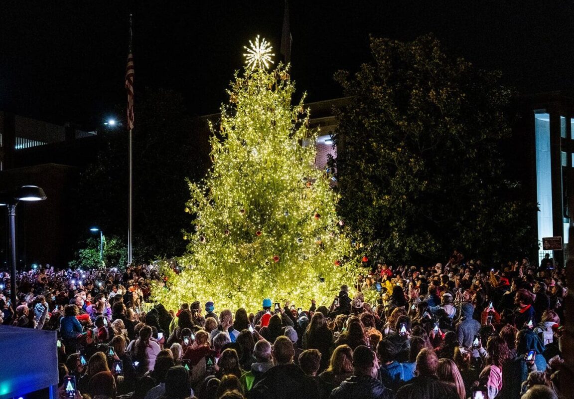 Charlottesville's Grand Illumination tree