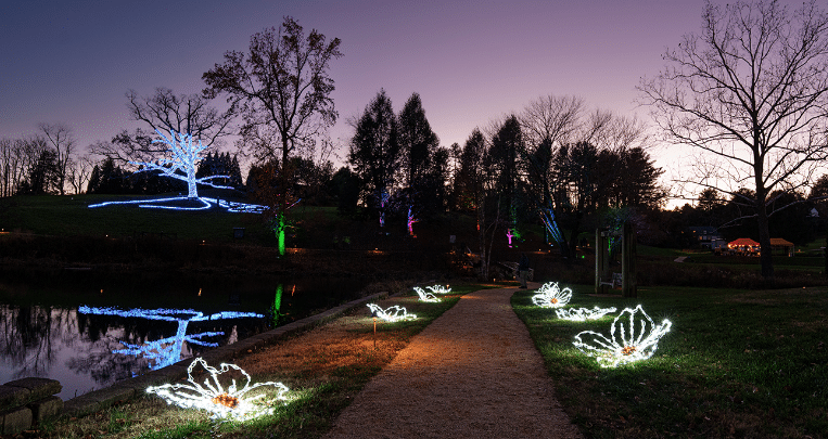 Boar's Head Winter Wander Trail of Lights in Charlottesville