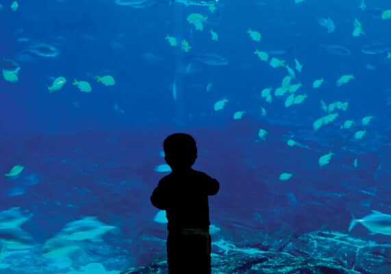 Child at an aquarium