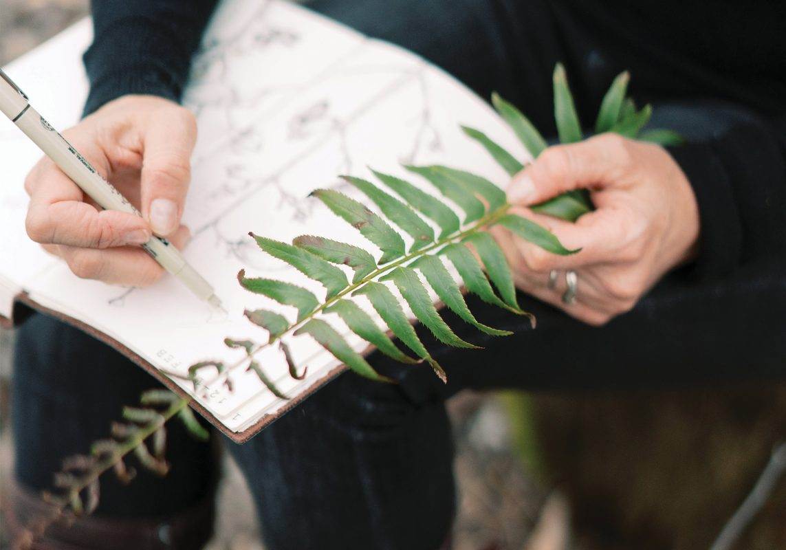 Lara Call Gastinger sketching a fern leaf in the field