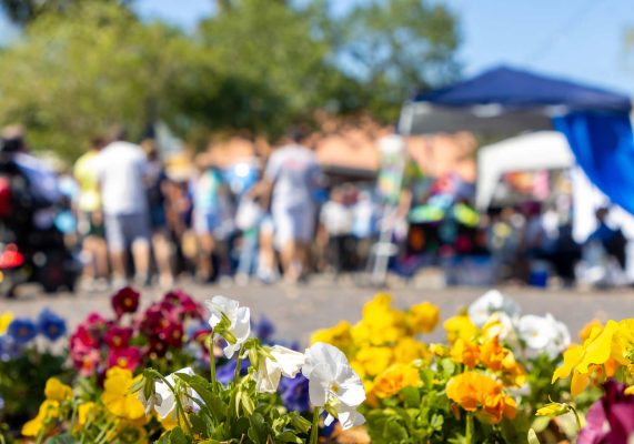 Virginia festival scene with spring flowers, pansies, in foreground