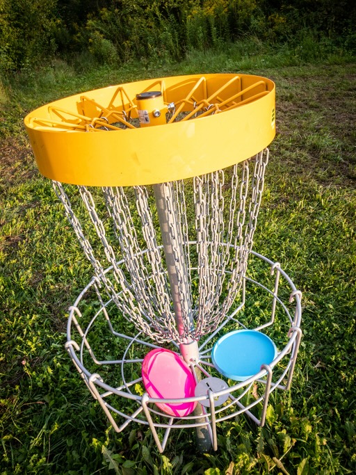 Two discs in disc golf basket.